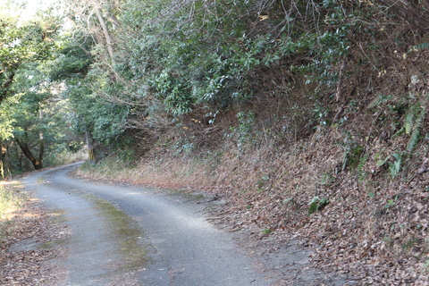 e0272335_19311320.jpg