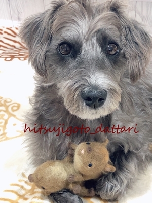 ★ あけましておめでとうございます ★_c0234739_21093648.jpg