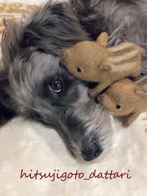 ★ あけましておめでとうございます ★_c0234739_21094008.jpg