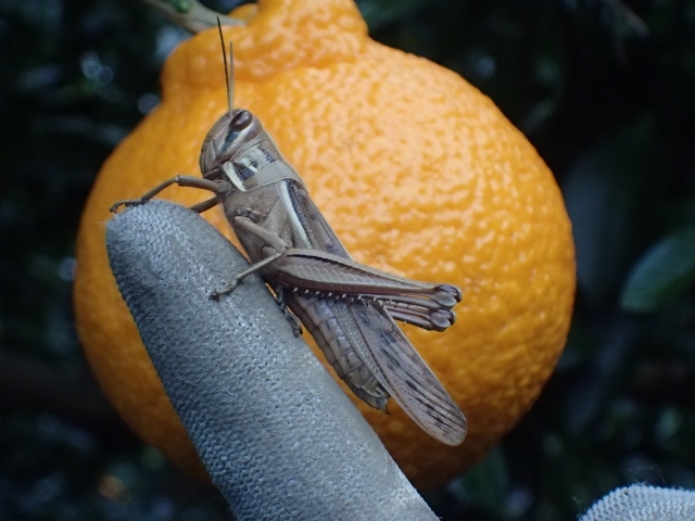 d0378939_06153949.jpg