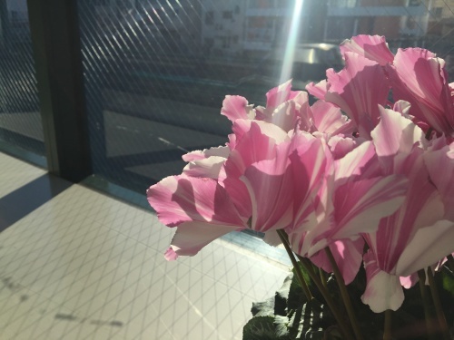 b0330040_21213937.jpeg