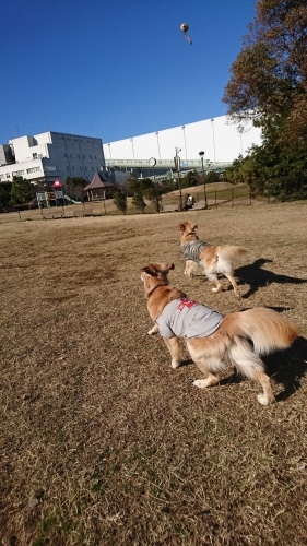 a0329943_20311348.jpg