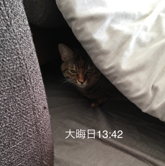 f0372445_11363836.jpeg