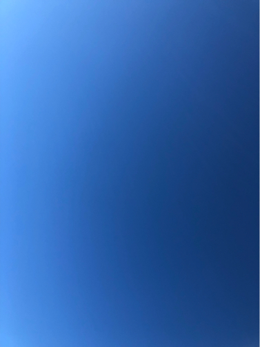 f0207146_06064753.jpg