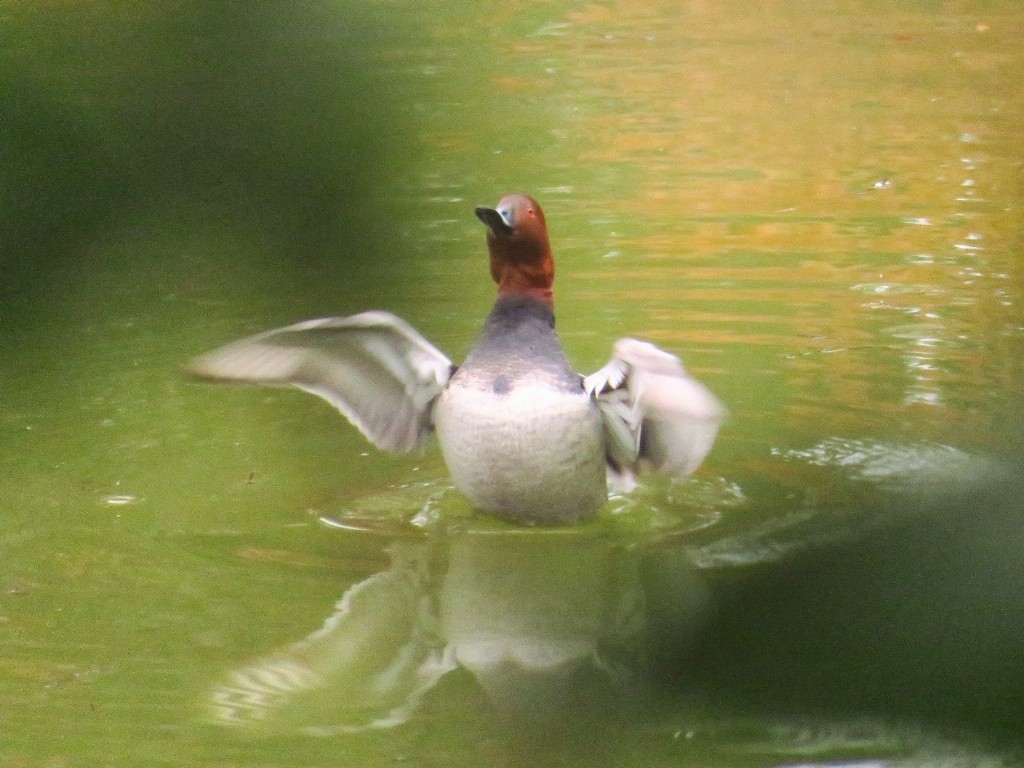a0018655_09513223.jpg