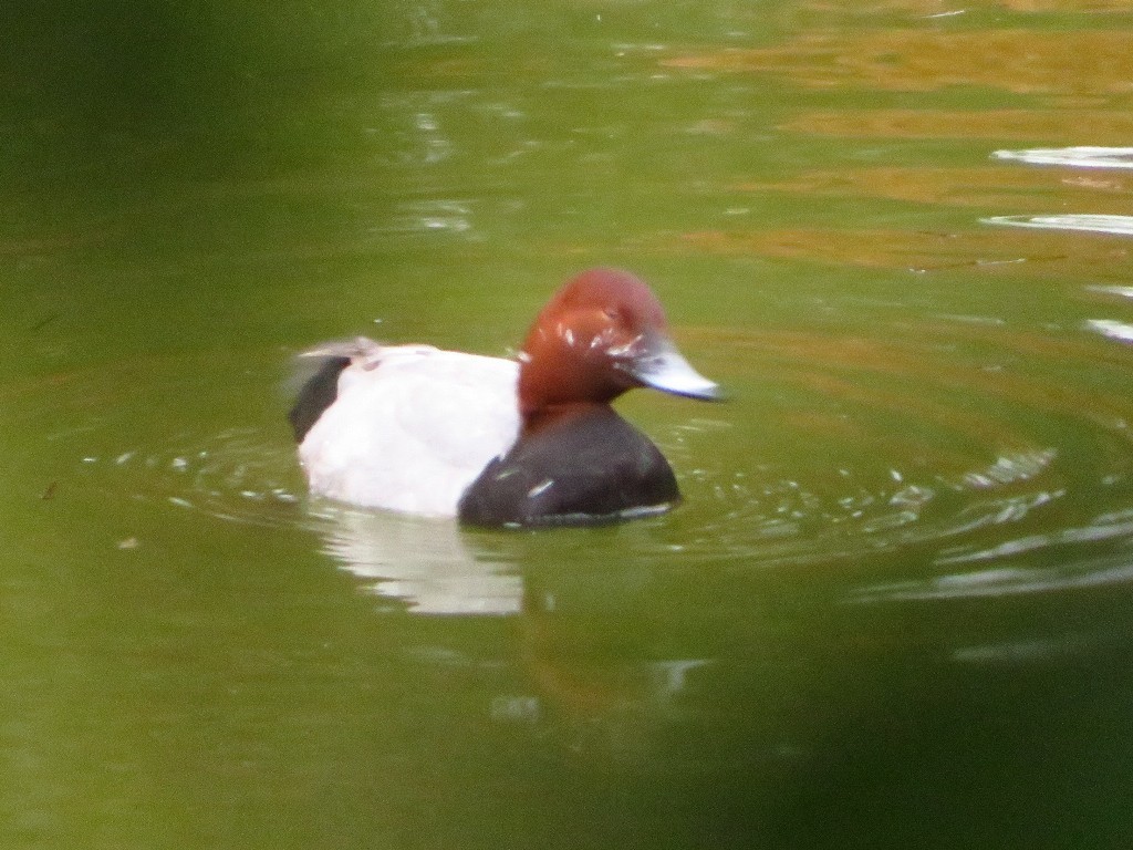 a0018655_09513282.jpg