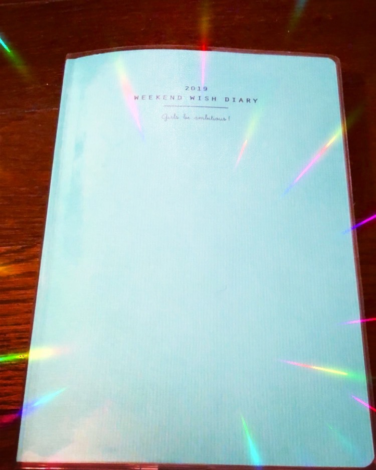 19年の野望をちょこっと 週末野心手帳 Artandlove もんもく日記２