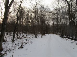 d0045362_10084971.jpg