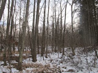 d0045362_10090318.jpg