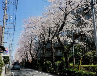 f0104277_19394393.jpg