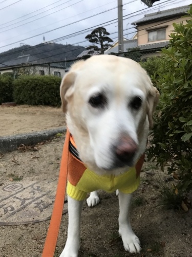 f0315081_21093940.jpeg