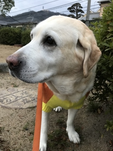 f0315081_21102726.jpeg