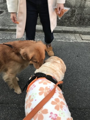 f0315081_21233250.jpeg