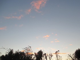 a0142083_14241774.jpg