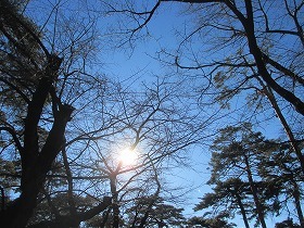 a0142083_14373967.jpg