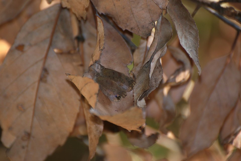 f0373486_20544577.jpg