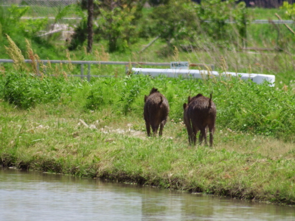 d0021491_01125735.jpg