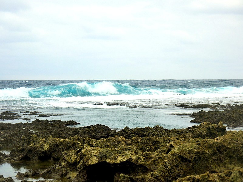 a0207593_21272434.jpg