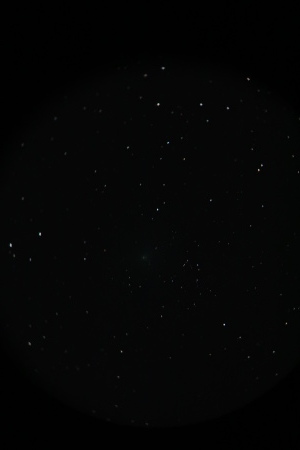 ウィルタネン彗星_e0120896_21543240.jpg