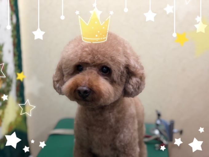 d0269898_16423216.jpeg