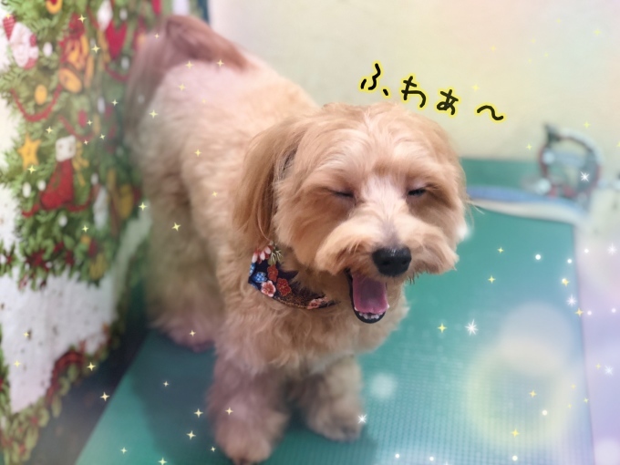 d0269898_16430317.jpeg