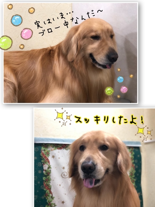 d0269898_16462207.jpeg