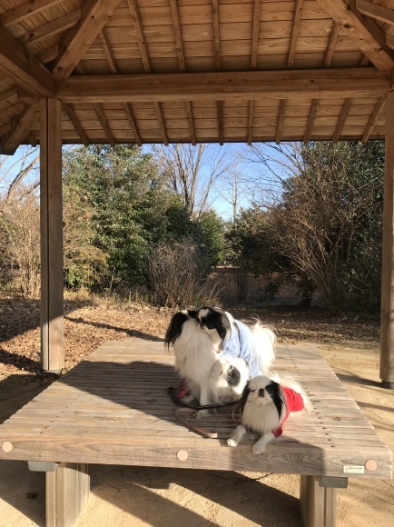 2日からskp_a0155999_21573618.jpeg