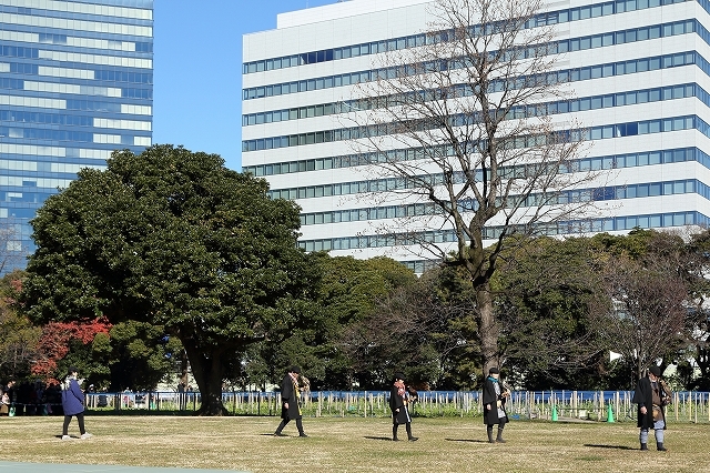 御鷹場の　家康も見た空　　鷹が舞う　（浜離宮庭園）_b0291402_17505161.jpg