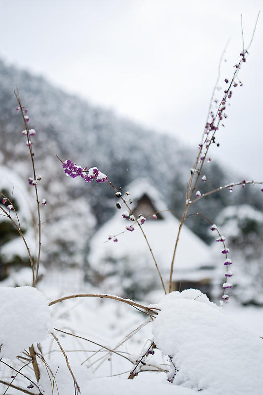 大晦日の雪景色@美山茅葺きの里 其の二_f0032011_15144922.jpg