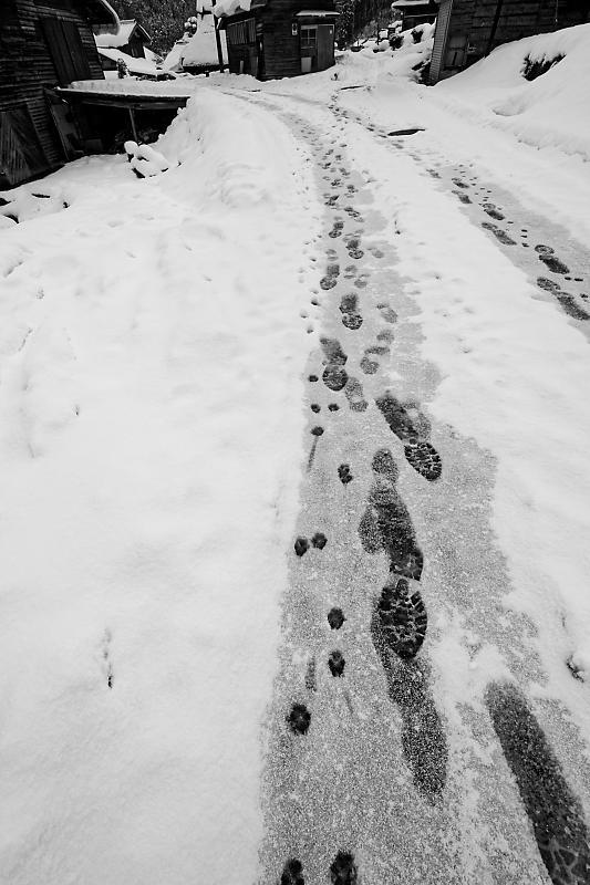 大晦日の雪景色@美山茅葺きの里 其の二_f0032011_15250651.jpg