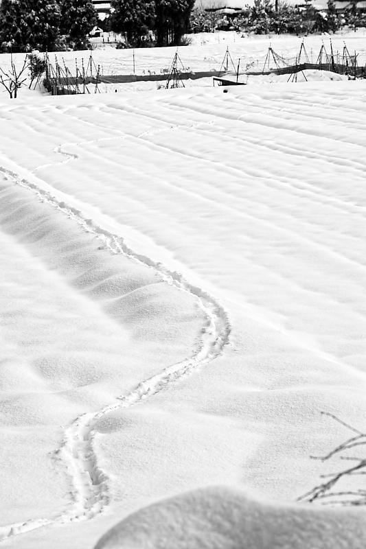 大晦日の雪景色@美山茅葺きの里 其の二_f0032011_15250663.jpg