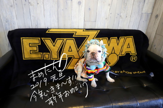 a0158613_13391726.jpeg