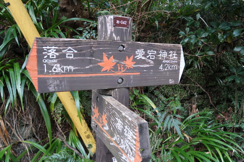 d0103314_22492667.jpg