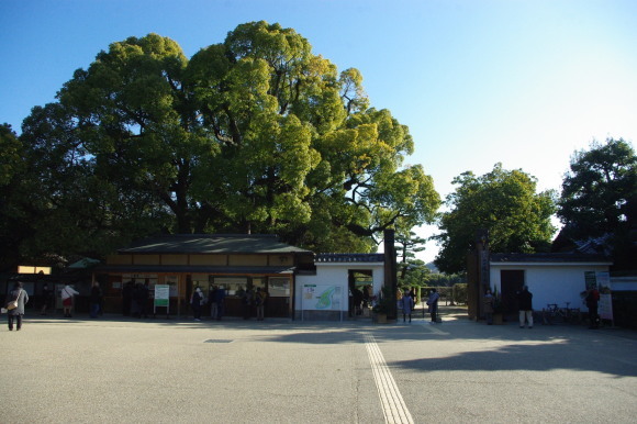 d0341514_21455352.jpg