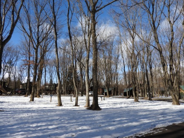 b0174425_22025250.jpg