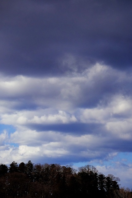 b0230131_06470791.jpg