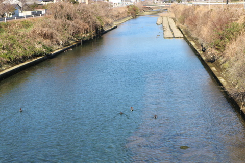 e0272335_17395159.jpg