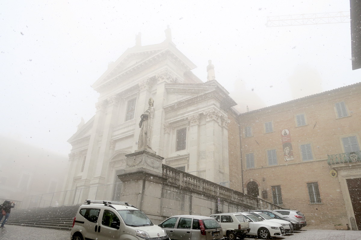 霧と猫 大聖堂にぼたん雪、ウルビーノ_f0234936_8122349.jpg