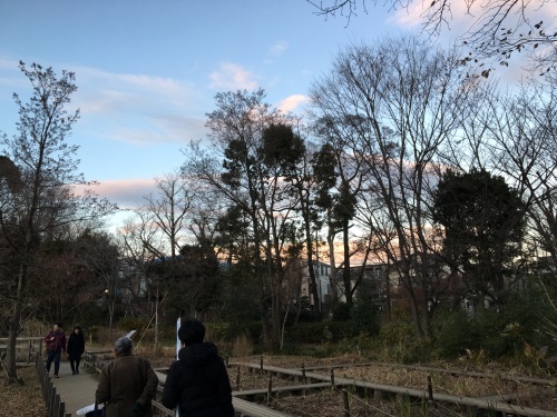 b0330040_06360258.jpeg