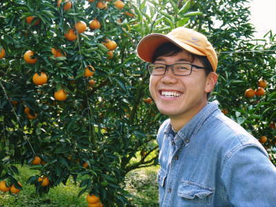 究極の柑橘「せとか」　平成31年の出荷は2月中旬からの予定！順調に色づきこれから美味しく仕上げます！_a0254656_17485174.jpg