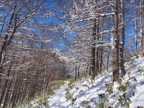 b0335256_20101672.jpg
