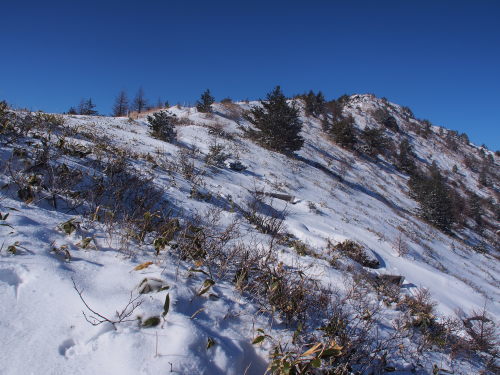 b0335256_20151608.jpg