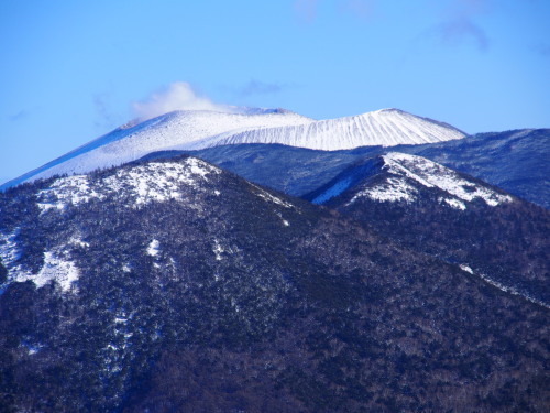 b0335256_20202832.jpg