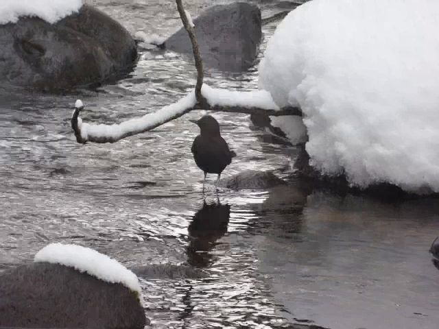 c0294658_21170553.jpg