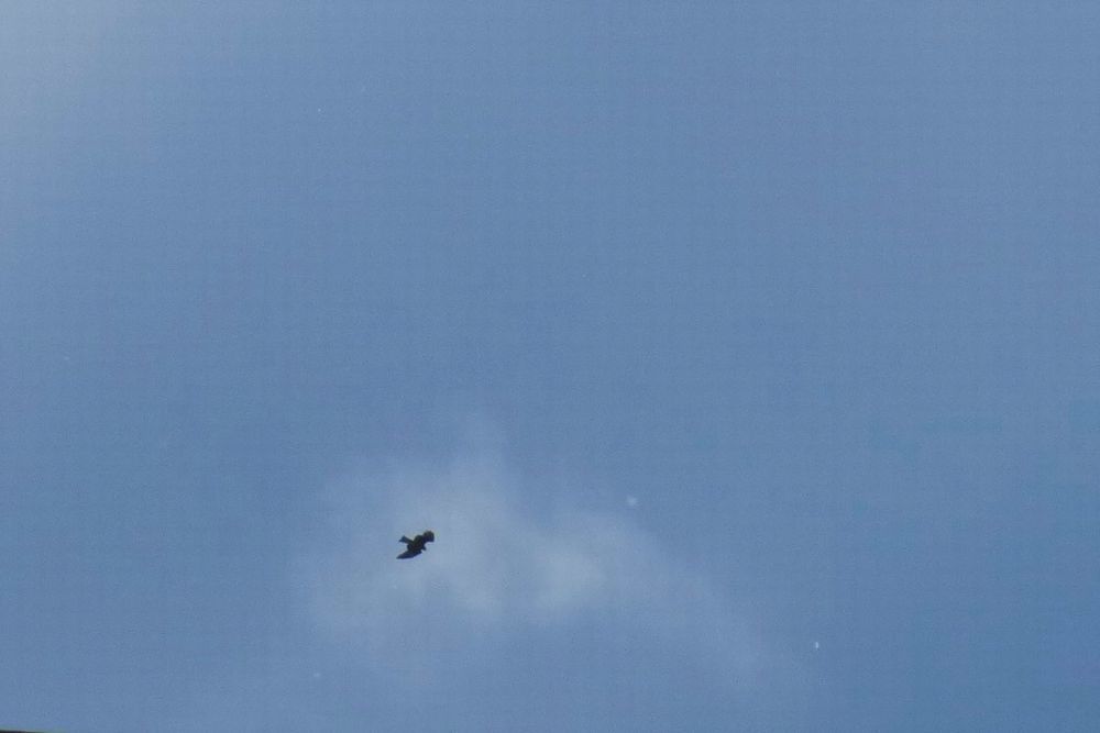 c0294658_21170562.jpg