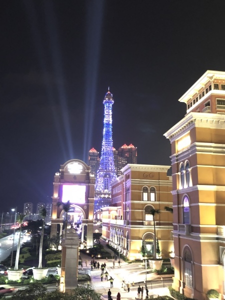 2019 迎春_d0065558_21481756.jpeg