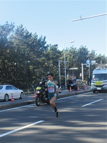 2019 正月散歩_d0369759_16043472.jpg