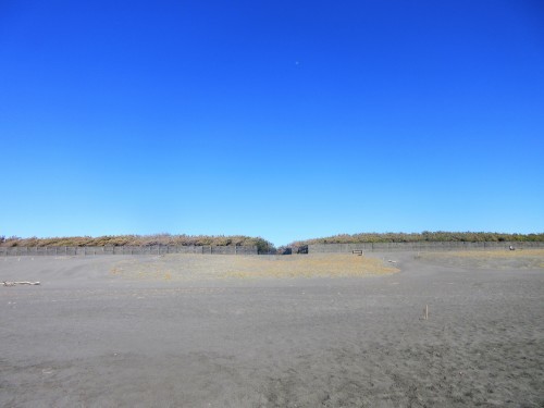 2019 正月散歩_d0369759_16103422.jpg