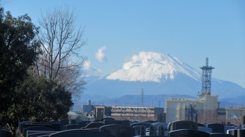 2019 正月散歩_d0369759_16114426.jpg
