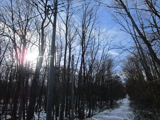 d0045362_10001299.jpg